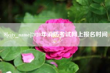 冠县2020年消防考试网上报名时间