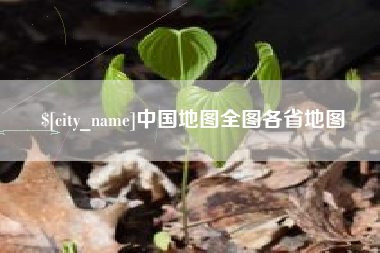 冠县中国地图全图各省地图