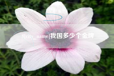 冠县我国多少个金牌