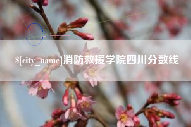 冠县消防救援学院四川分数线