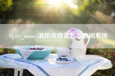 冠县消防资格证怎么查询系统