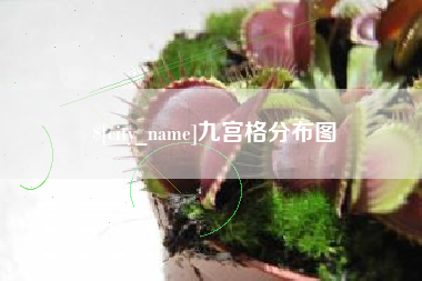 冠县九宫格分布图