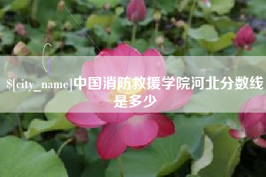 冠县中国消防救援学院河北分数线是多少