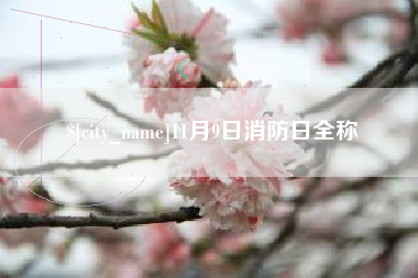 冠县11月9日消防日全称