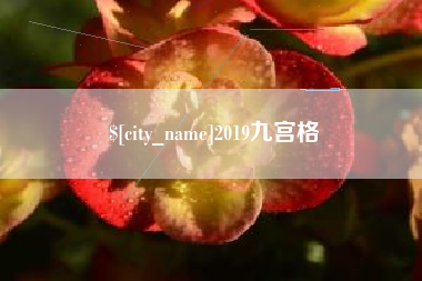 冠县2019九宫格