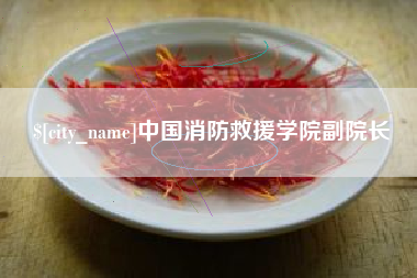 冠县中国消防救援学院副院长