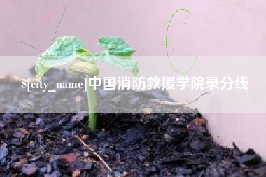 冠县中国消防救援学院录分线