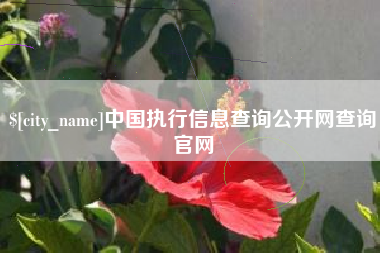 冠县中国执行信息查询公开网查询官网