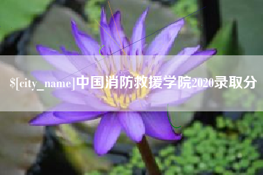 冠县中国消防救援学院2020录取分