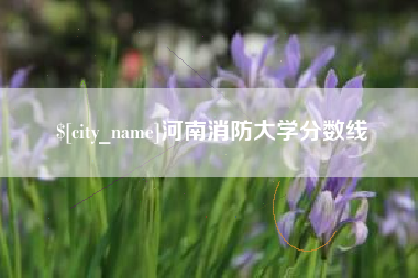冠县河南消防大学分数线