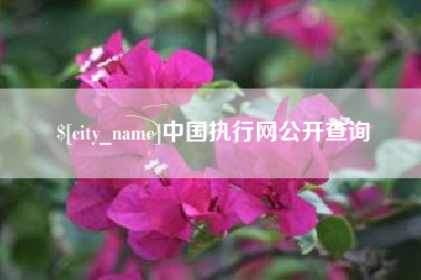 冠县中国执行网公开查询
