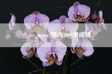 冠县国内5000米成绩