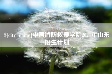冠县中国消防救援学院2021年山东招生计划