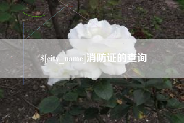 冠县消防证的查询