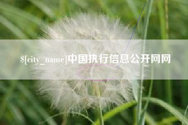 冠县中国执行信息公开网网
