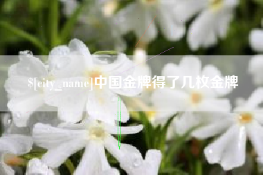 冠县中国金牌得了几枚金牌