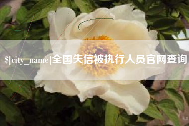 冠县全国失信被执行人员官网查询