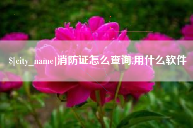 冠县消防证怎么查询,用什么软件