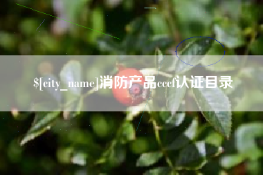 冠县消防产品cccf认证目录