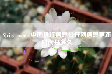 冠县中国执行信息公开网信息更新时间是多久