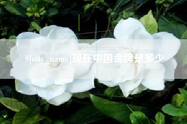 冠县现在中国金牌是多少