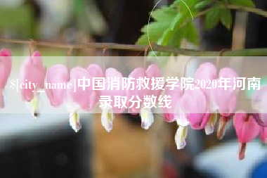 冠县中国消防救援学院2020年河南录取分数线