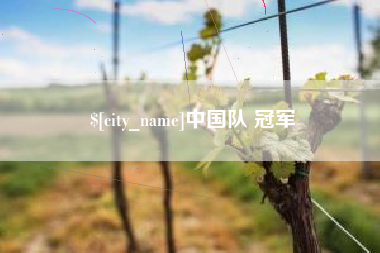 冠县中国队 冠军