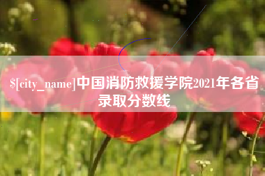 冠县中国消防救援学院2021年各省录取分数线