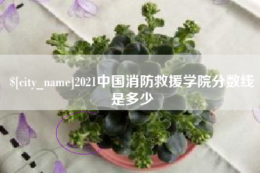 冠县2021中国消防救援学院分数线是多少