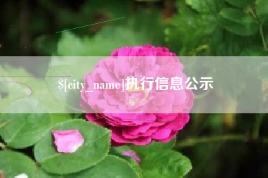 冠县执行信息公示