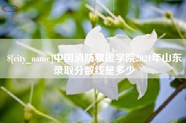 冠县中国消防救援学院2021年山东录取分数线是多少