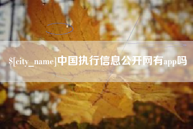 冠县中国执行信息公开网有app吗