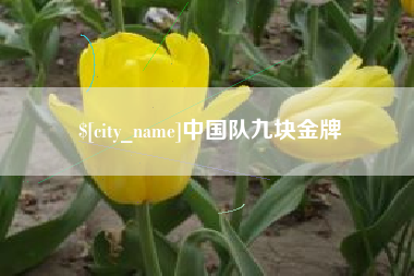 冠县中国队九块金牌