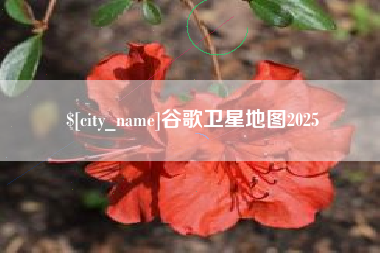 冠县谷歌卫星地图2025