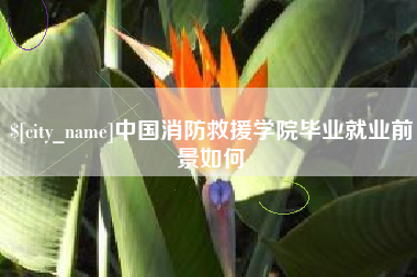 冠县中国消防救援学院毕业就业前景如何
