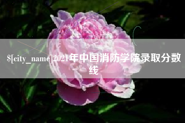 冠县2021年中国消防学院录取分数线