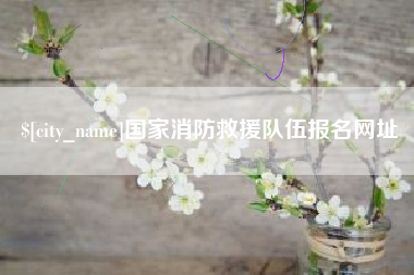冠县国家消防救援队伍报名网址