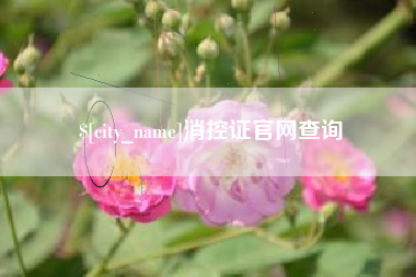 冠县消控证官网查询