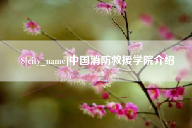 冠县中国消防救援学院介绍