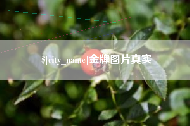 冠县金牌图片真实