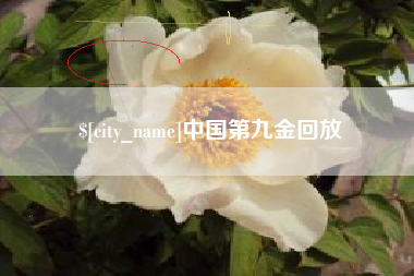 冠县中国第九金回放