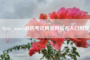 冠县消防考试网官网报名入口网址