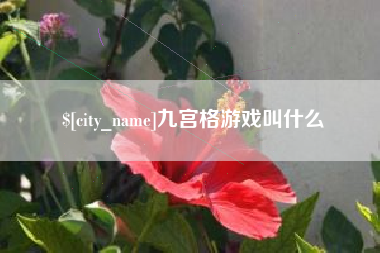 冠县九宫格游戏叫什么