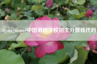 冠县中国消防学校招生分数线代码