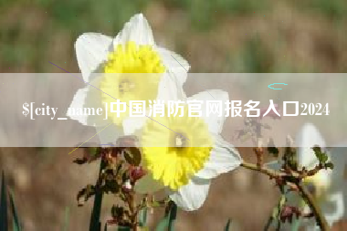 冠县中国消防官网报名入口2024