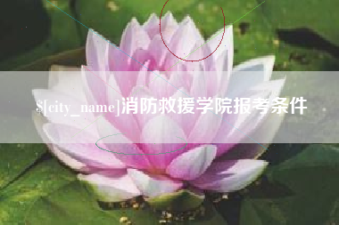 冠县消防救援学院报考条件
