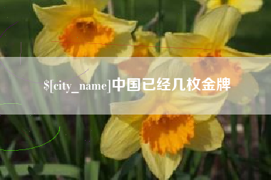冠县中国已经几枚金牌