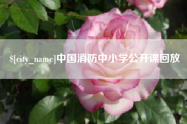 冠县中国消防中小学公开课回放