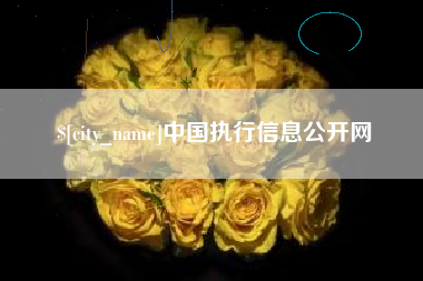 冠县中国执行信息公开网