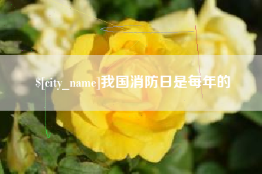 冠县我国消防日是每年的